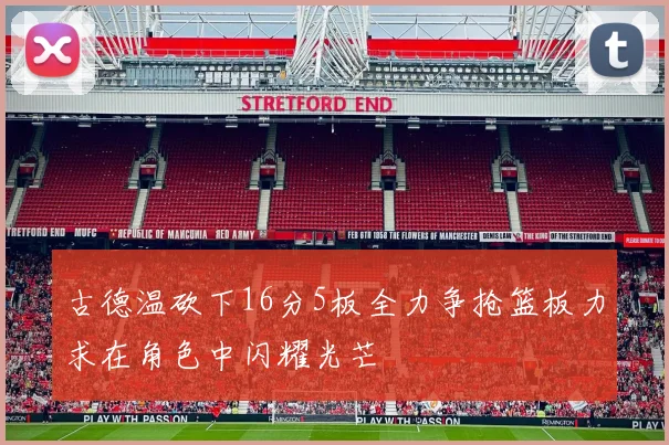 古德温砍下16分5板全力争抢篮板力求在角色中闪耀光芒