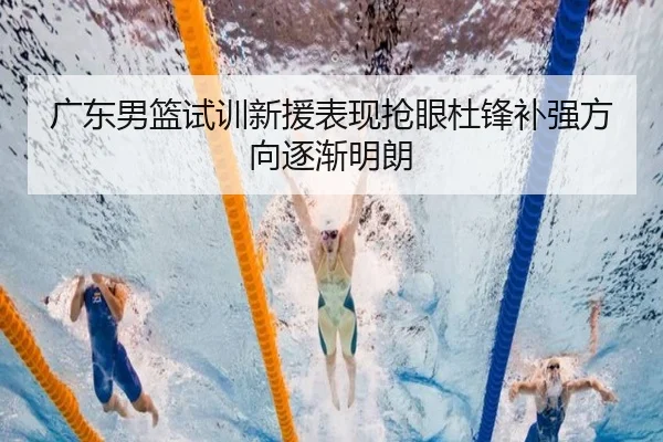 广东男篮试训新援表现抢眼杜锋补强方向逐渐明朗